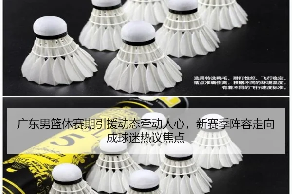 广东男篮休赛期引援动态牵动人心，新赛季阵容走向成球迷热议焦点